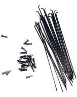 Colony BMX Spokes