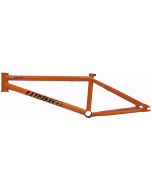 FIT Tom Dugan Signature Frame