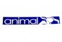 Animal Street 25-Inch Sticker